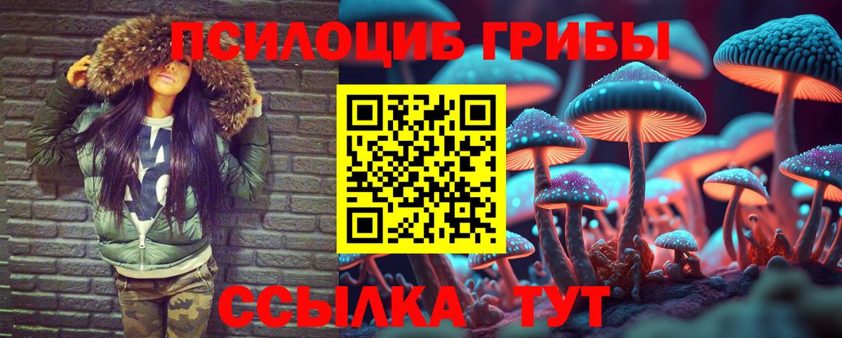 Галлюциногенные грибы MAGIC MUSHROOMS  Вход с VPN  купить   Галлюциногенные грибы мицелий  Канаш 